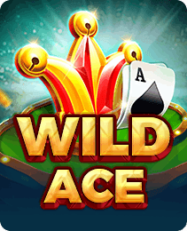 S9 Game — Wild Ace slot game